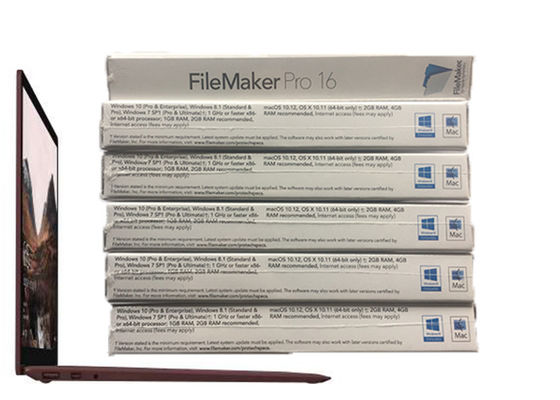 China 100% origineel Pro 16 Kleinhandelsdoospakket HL2C2ZM/A van FileMaker voor MAC leverancier