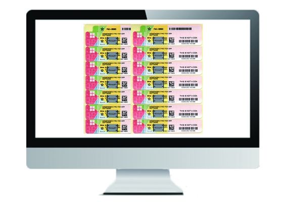 China De Poolse Vensters 10 Procoa-Sticker Online met 64 bits activeren Echte de Vergunningssleutel van COA X20 leverancier